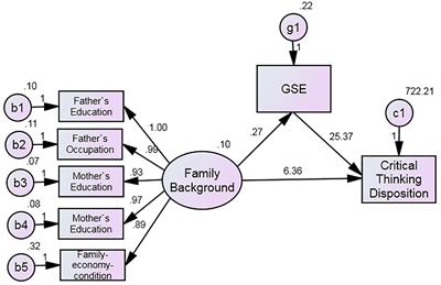 General Self-Efficacy Mediates the Effect of Family Socioeconomic Status on Critical Thinking in Chinese Medical Students